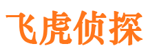 莲花侦探公司